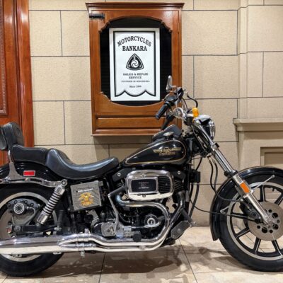 ‘８１ＦＸＳ オリジナルペイント  輸入新規